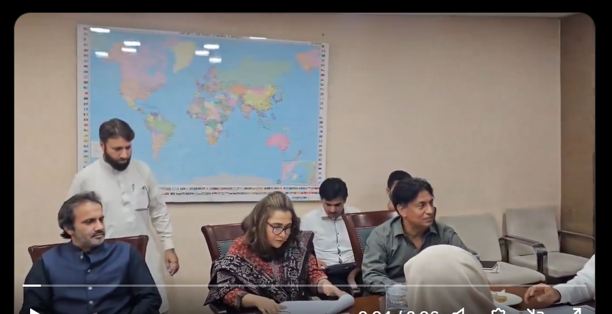 آئی پی پیز نے ہر گھر میں مصیبت ڈالی ہوئی ہے،زرقا سہروردی برس پڑیں