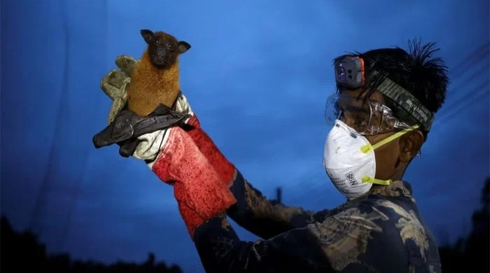 بھارت میں نپاہ وائرس سے ایک اور موت