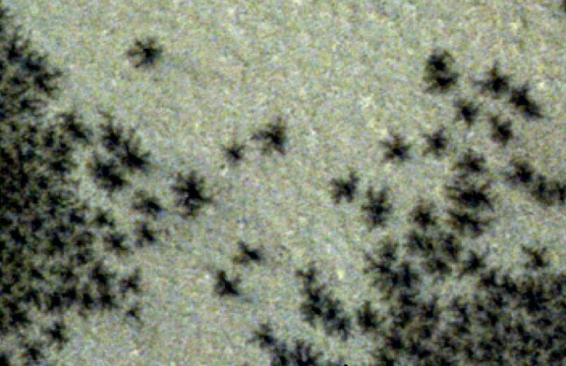 مریخ پر مکڑیوں جیسی عجیب و غریب شکلیں دریافت