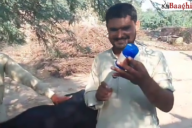 گوجرہ:جانوروں میں مہلک وباء، کسان پریشان