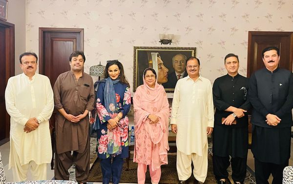 فریال تالپور سے صوبائی وزرا اور پارٹی رہنماوَں  کی ملاقاتیں