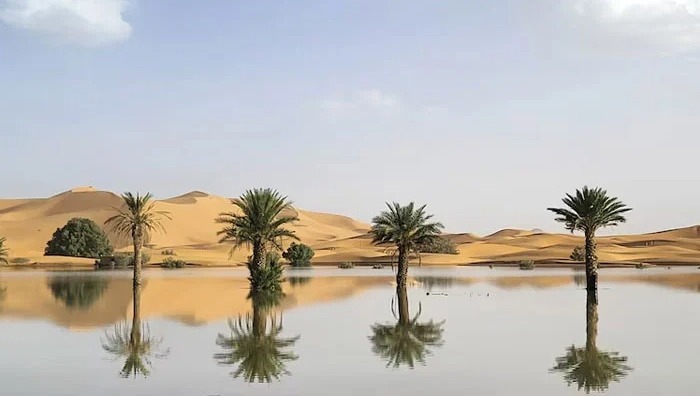 صحرا صحارا   میں بارش،50 سال سے خشک جھیل دریا بن گئی