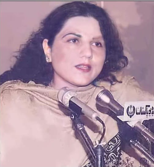 ادیبہ،شاعرہ ، مترجم اور صحافی،ثمینہ راجہ