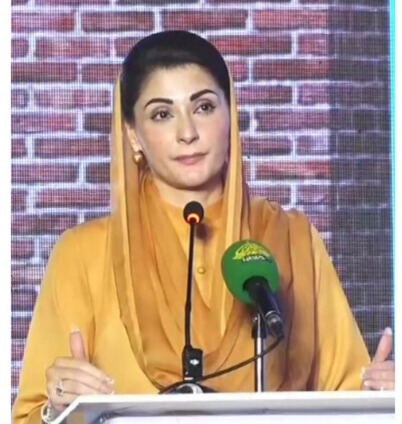 وزیراعلی پنجاب نے پی ٹی آئی کو دہشت گرد جماعت قرار دے دیا