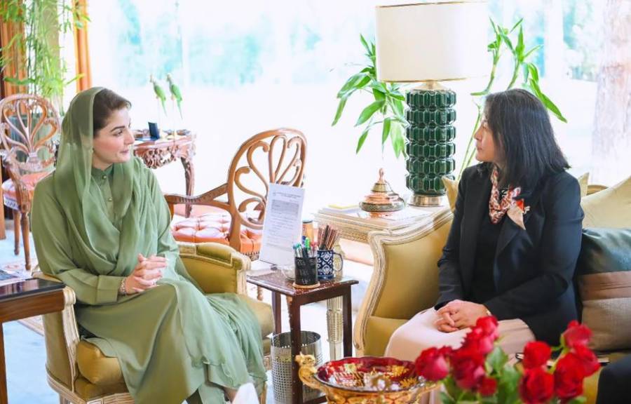 ایشیائی ترقیاتی بینک کی کنٹری ڈائریکٹر  کی وزیر اعلیٰ پنجاب سے ملاقات