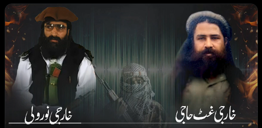 پاکستان سے واپسی کی کسی کو اجازت نہیں،فتنتہ الخوارج کےخارجی نورولی کی آڈیو لیک