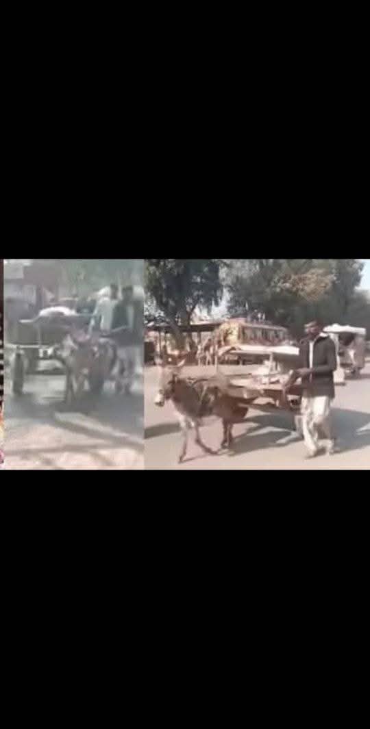 بزرگ شہری کی لاش گدھا گاڑی پر ہسپتال منتقل