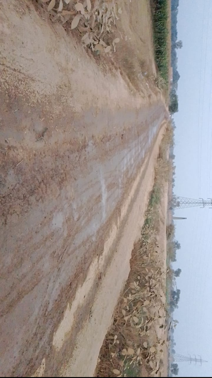 بغیر ترپال سڑکوں پر ٹرالیوں کا راج،دھول مٹی،لوگ بیمار