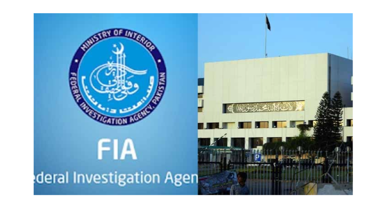 ملک میں چور بازاری کے سوا ایف آئی اے کا کام کیا ؟قائمہ کمیٹی اراکین برہم