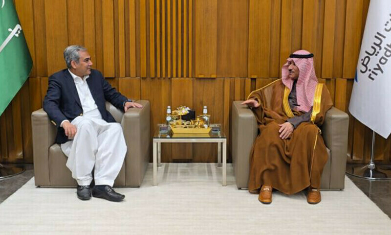 پاک سعودی ٹاسک فورس کو جلد فعال کرنے کا فیصلہ