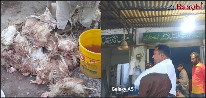 گوجرہ: مردہ مرغیوں کا سپلائر پنجاب فوڈ اتھارٹی کی گرفت میں آگیا
