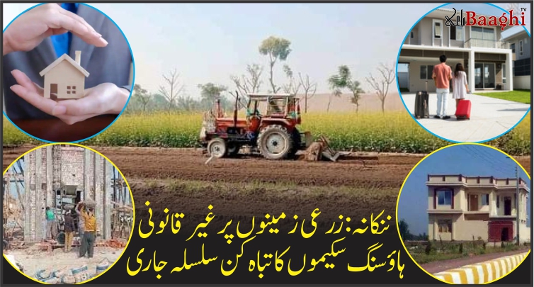 ننکانہ : زرعی زمینوں پر غیر قانونی ہاؤسنگ سکیموں کا تباہ کن سلسلہ جاری