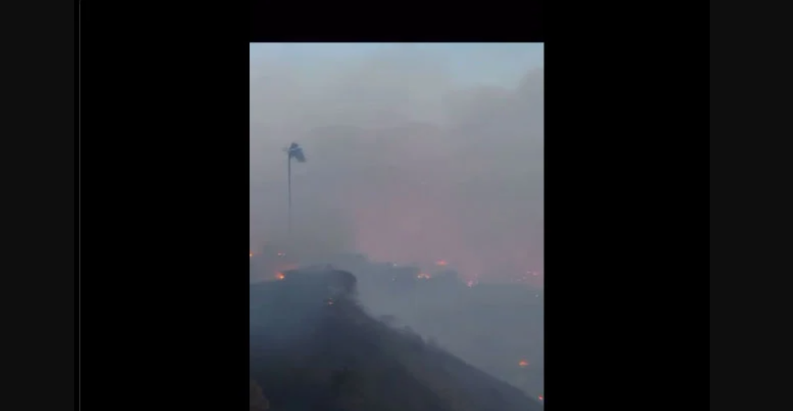 لاس اینجلس، تباہ کن آگ سے 77 سالہ اداکار جیمز ووڈس کا گھر محفوظ