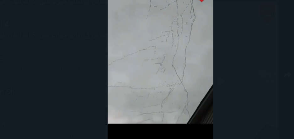 لاس اینجلس،آتشزدگی سے چند دن قبل پرندوں کا  دوسری جگہ جانے کا منظر