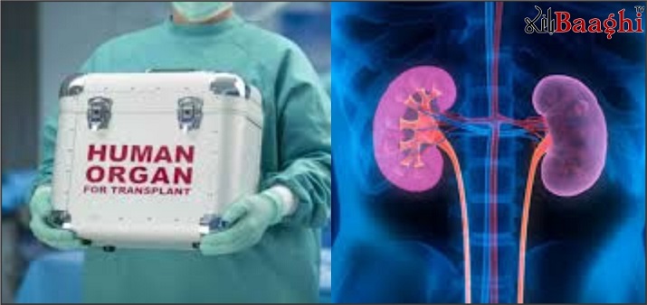 سرگودھا:گردوں کی غیر قانونی خرید و فروخت,کڈنی مافیا کا کارندہ گرفتار