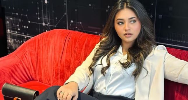 جوا پروموشن کیس میں گرفتاریوں کا دائرہ وسیع، مناہل ملک بھی ریڈار پر