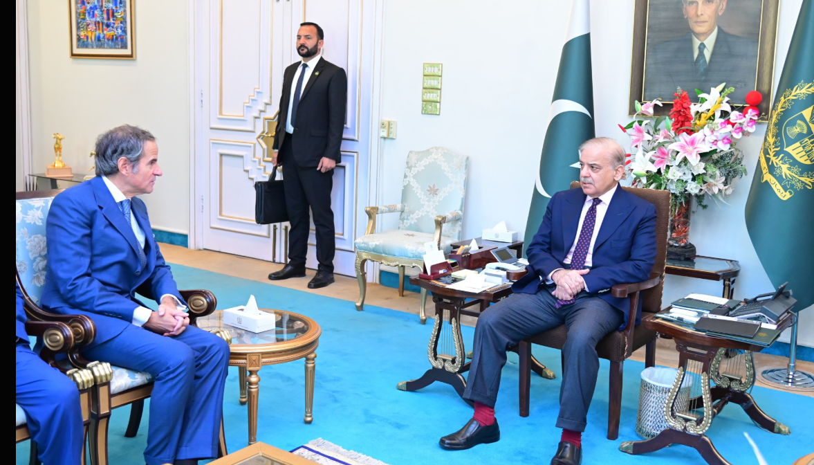IAEA Director General meets Prime Minister