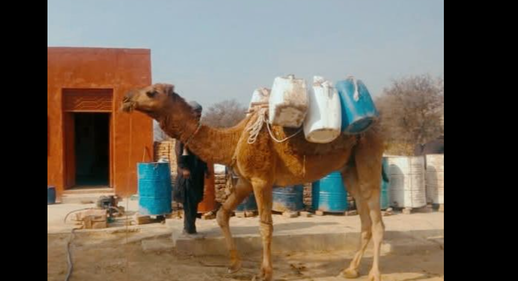 لیکن ایک مُٹھی میں میرے خواب کہاں آتے ہیں.تحریر:سائرہ اعوان