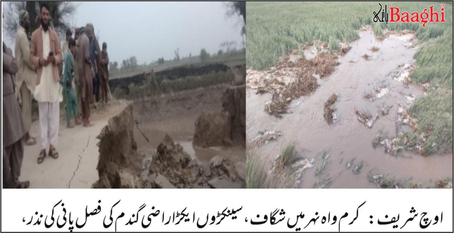 اوچ شریف: نہر میں شگاف، سینکڑوں ایکڑ فصلیں تباہ