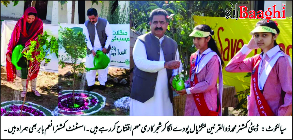 سیالکوٹ: شجرکاری مہم کا آغاز، ڈپٹی کمشنر نے پودا لگا کر افتتاح کیا
