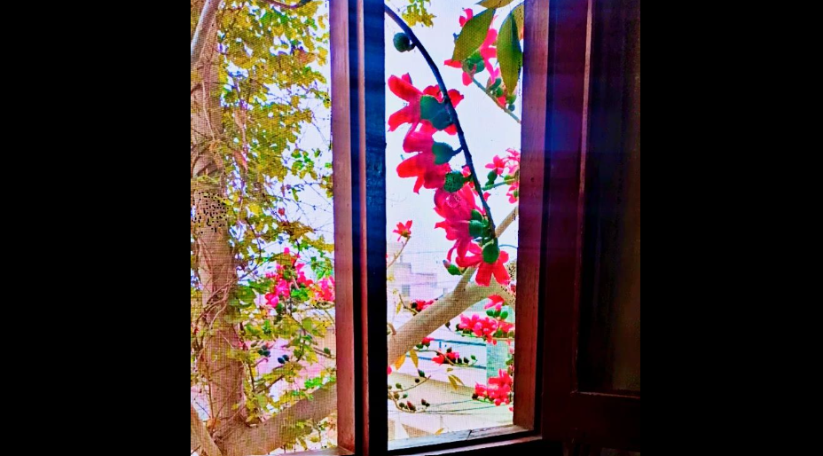 کتاب، بارش اور پلاؤ،لفظوں میں بسی ایک شام.تحریر:رضوانہ چغتائی