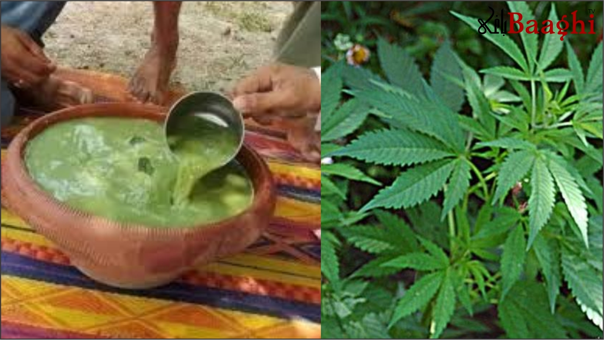 ننکانہ :دھولر والاقبرستان ،بھنگ کےبیورپاریوں کا اڈا،100سے 200روپے پیالہ کھلے عام بکنے لگا