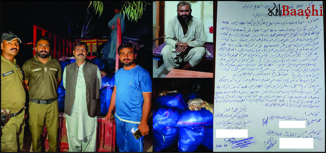  اوچ شریف: پرائس کنٹرول مجسٹریٹ کا ایکشن، 700 کلو گرام مضر صحت گوشت ضبط،ایک ملزم گرفتار،دوسرا فرار