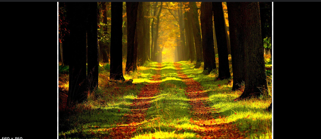 انتقام…کبھی نہیں، تحریر:نور فاطمہ