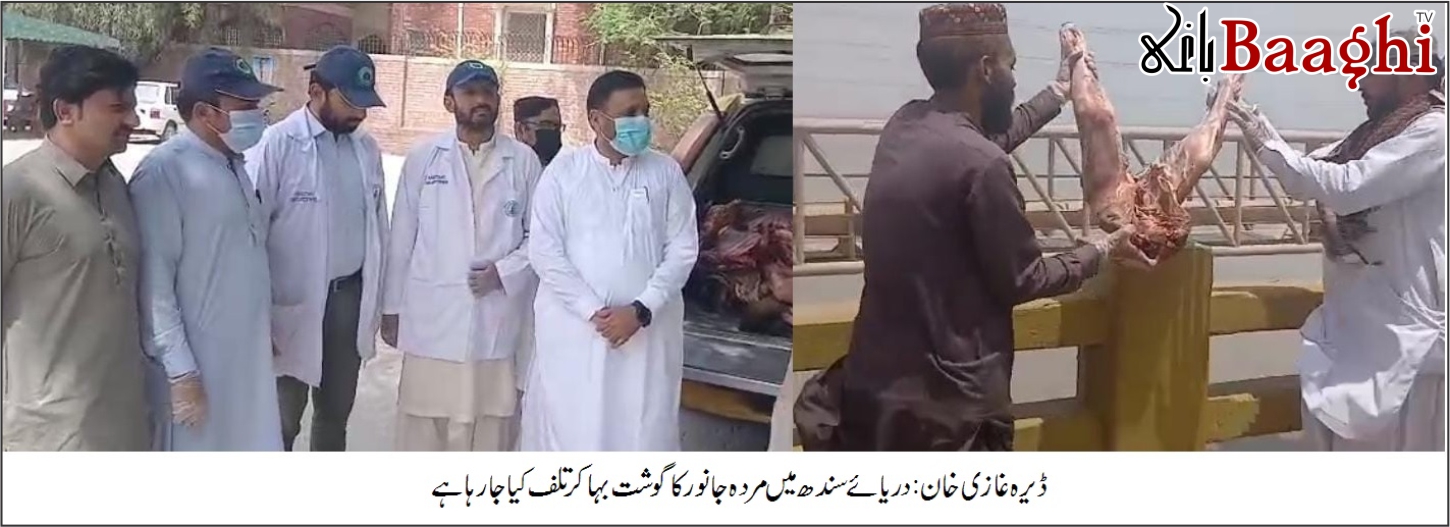 ڈیرہ غازی خان: مردہ جانور کا چھ من گوشت برآمد، ایک گرفتار، دو فرار