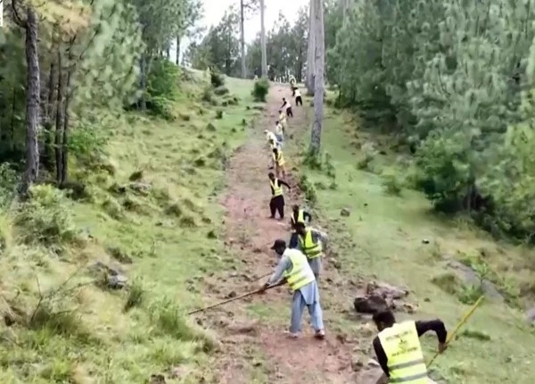 پنجاب: یومیہ اجرت پر جنگلوں میں کام کرنیوالے مزدوروں کی ادائیگی کیلئے جدید نظام متعارف