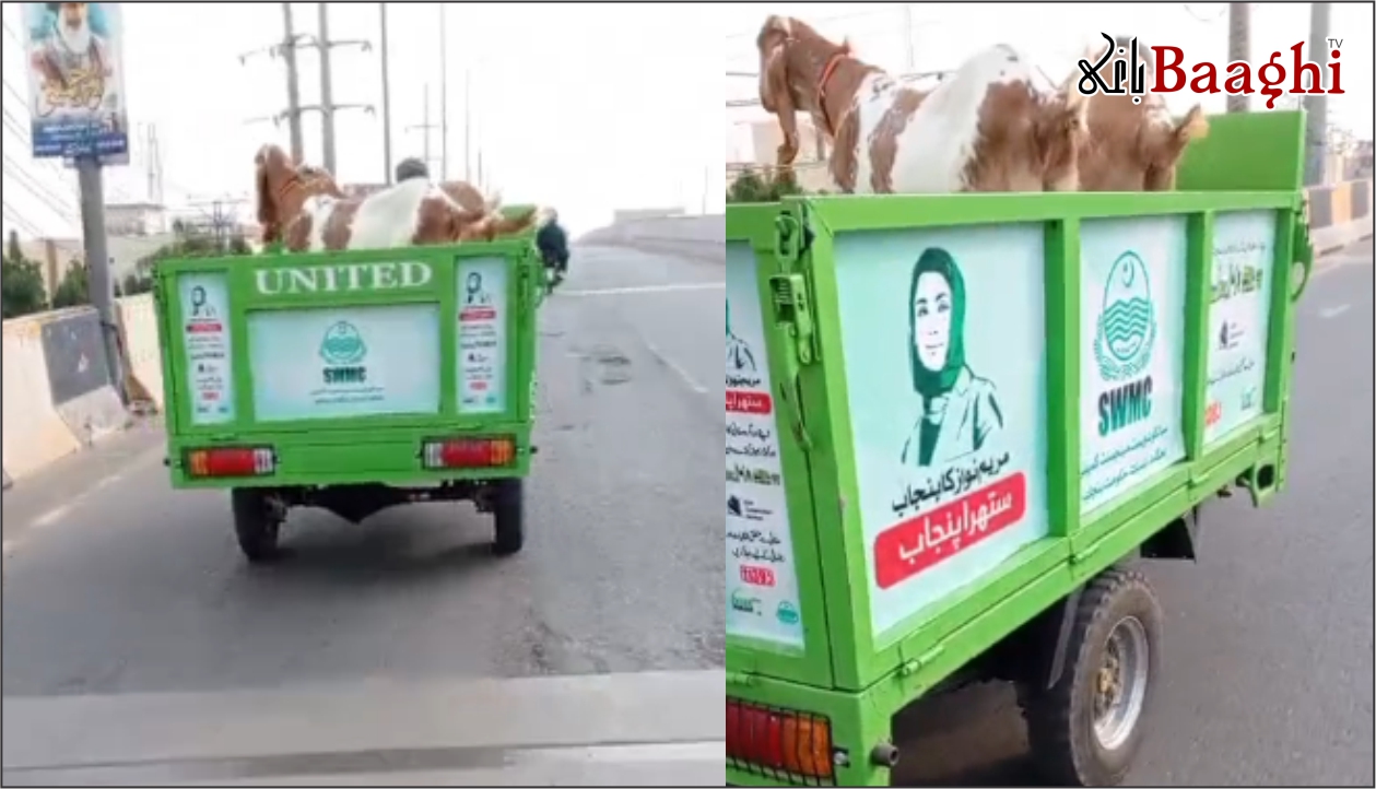 سیالکوٹ: سرکاری صفائی گاڑی پر بکرے لوڈ، نالے گندگی سے بھرگئے، عوام کا احتجاج