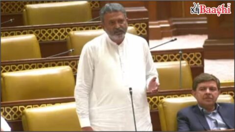 اوچ شریف: تین پل خستہ حالی کا شکار، ایم پی اے مخدوم عامر علی شاہ کا پنجاب اسمبلی میں فوری فنڈز کا مطالبہ