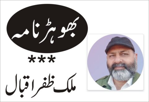 ہماری ترجیحات  صرف پروٹوکول  یا معیشت ،تحریر: ملک ظفر اقبال بھوہڑ