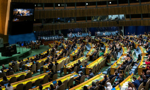 سلامتی کونسل میں پاکستان کی پیش کردہ قرارداد منظور