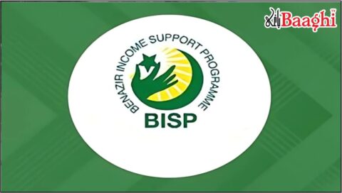 بی آئی ایس پی سے لاکھوں ٹیکس دہندگان مستفید، 4 ارب روپے کی ادائیگیاں