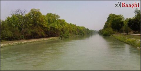 تنگوانی: نہر میں نہانے کیلئے جمپ لگانے والا نوجوان گردن ٹوٹنے سے جاں بحق