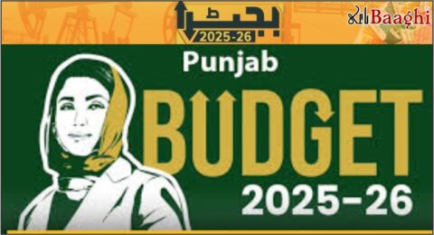 پنجاب بجٹ میں وعدے ہوا ہو گئے، احمد پور شرقیہ ضلع کا خواب ادھورا، اوچ شریف ترقی سے دور