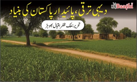 دیہی ترقی،پائیدار پاکستان کی بنیاد