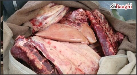 ڈیرہ غازی خان: مانکا کینال سے مردہ جانور کا گوشت برآمد، ملزم فرار