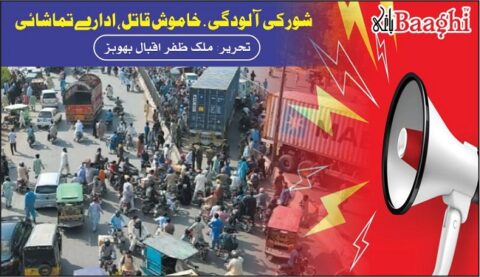 شور کی آلودگی . خاموش قاتل، ادارے تماشائی