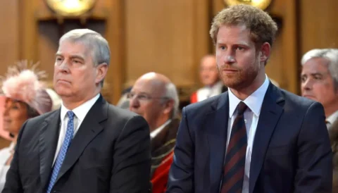 اہلیہ کے خلاف نازیبا الفاظ :شہزادہ ہیری نےشہزادہ اینڈریوکو  مکا ماردیا، نئی کتاب میں دعویٰ