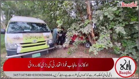 اوکاڑہ: پنجاب فوڈ اتھارٹی کی کارروائی، 25 من مردہ مرغیاں برآمد