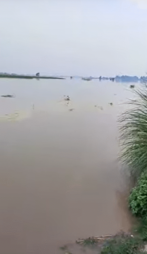 نچلے درجے کا سیلاب ،نشیبی علاقوں میں رہنے والوں کو الرٹ رہنے کی ہدایت