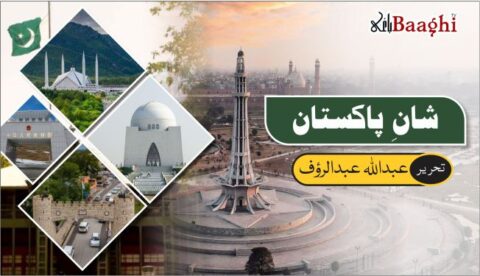 شانِ پاکستان،یہ مٹی بولتی ہے، میں پاکستان ہوں! .تحریر:عبداللہ عبدالرؤف