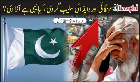 مہنگائی اور واپڈا کی سلیب گردی، کیا یہی ہے آزادی؟