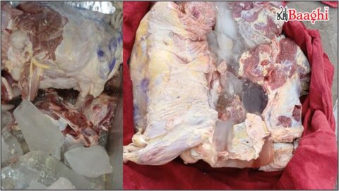 گوجرخان،قصاب مافیا کی دھونس ،سرکاری نرخنامہ مندر کا گھنٹہ بن گیا