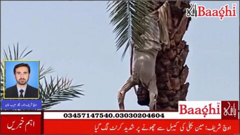 اوچ شریف : کھجور یں توڑتے ہوئے شخص بجلی کے کرنٹ سے جاں بحق