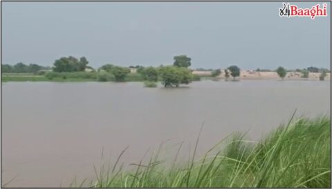 سندھ حکومت کا دریائے سندھ میں ممکنہ سیلاب پر ہائی الرٹ