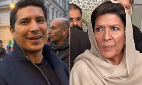 علیمہ خان کے بیٹے شیر شاہ کے مزید جسمانی ریمانڈ کی استدعا مسترد ، جیل منتقل