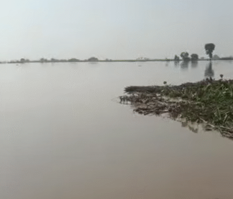 دریائے چناب میں سیلاب، مظفر گڑھ میں کئی دیہات ڈوب گئے